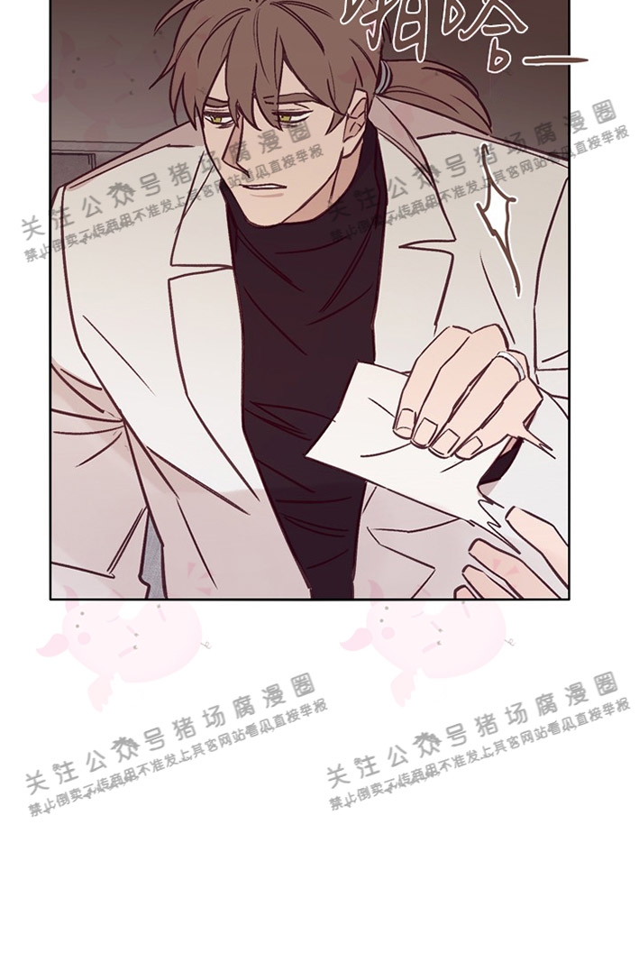 猫爱吃鹅肝吗漫画,第14话3图