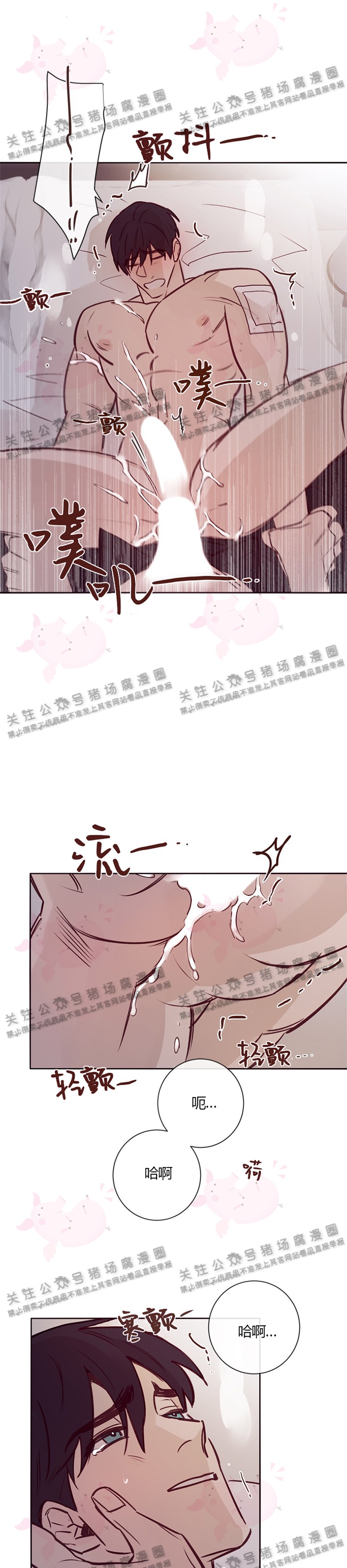 猫爱吃鹅肝吗漫画,第09话4图