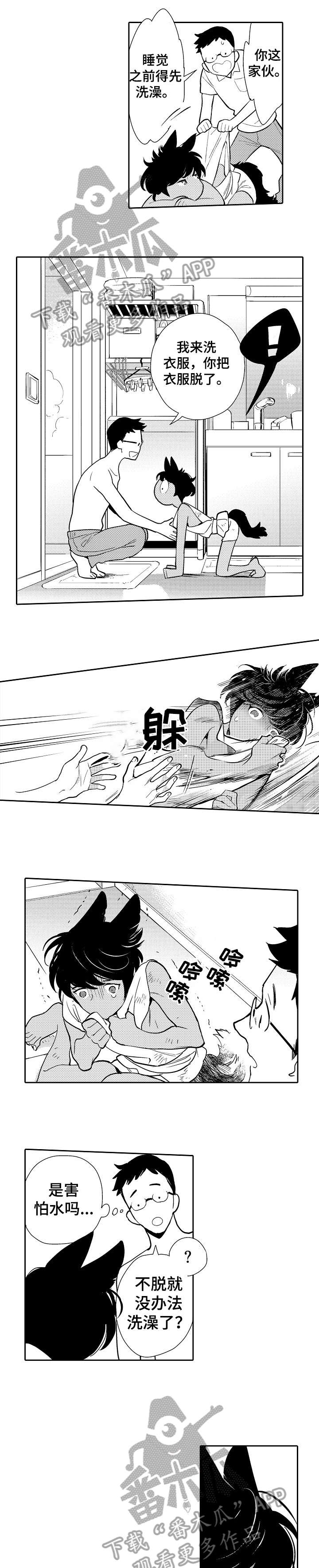他带初恋回家那天大结局完整版漫画,第2章：伤痕5图