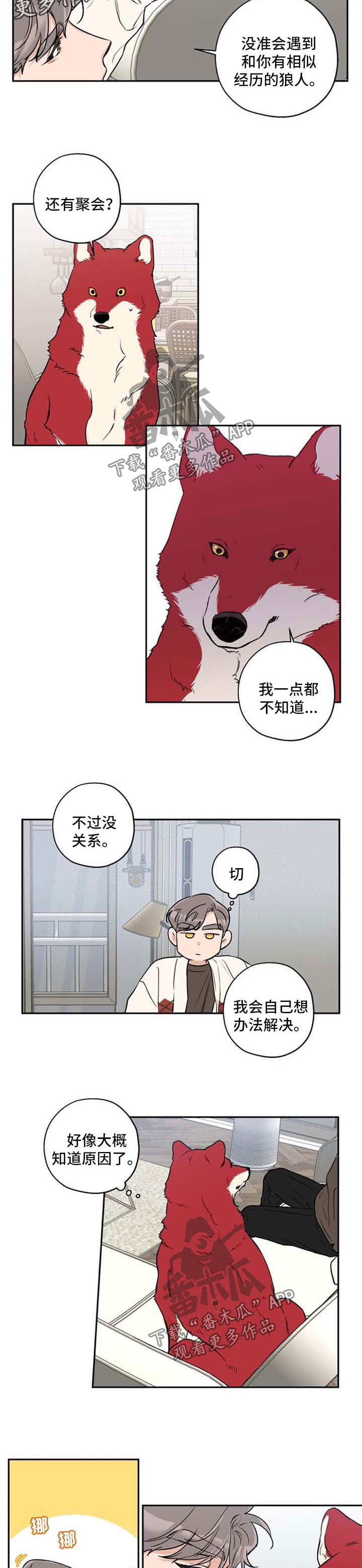 赤狼鱼竿漫画,第33章：不想分开5图