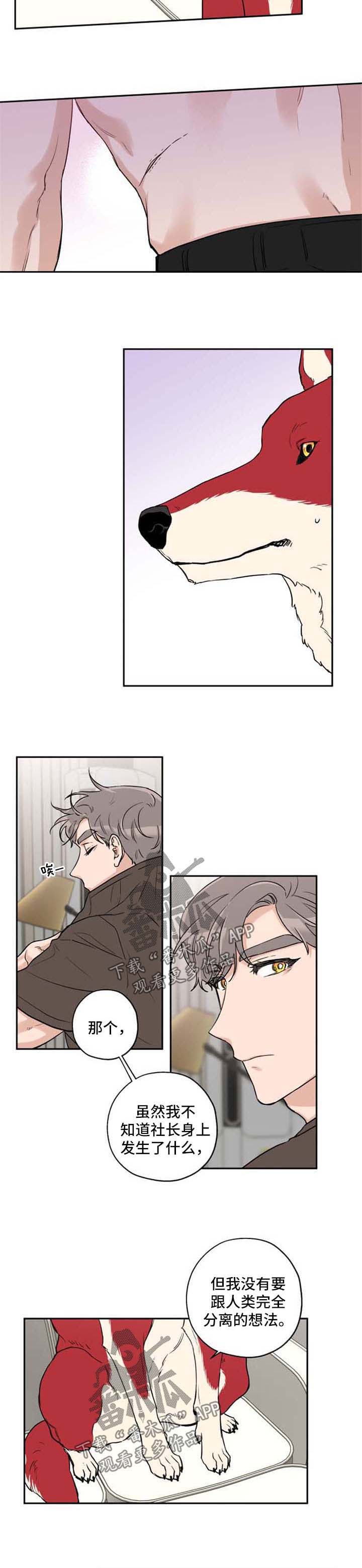 赤狼鱼竿漫画,第33章：不想分开3图