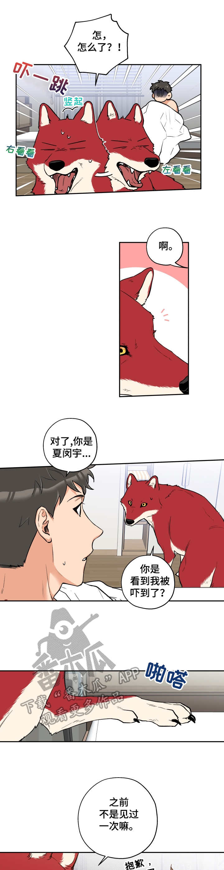 赤狼怎么存档漫画,第18章：换眼镜3图