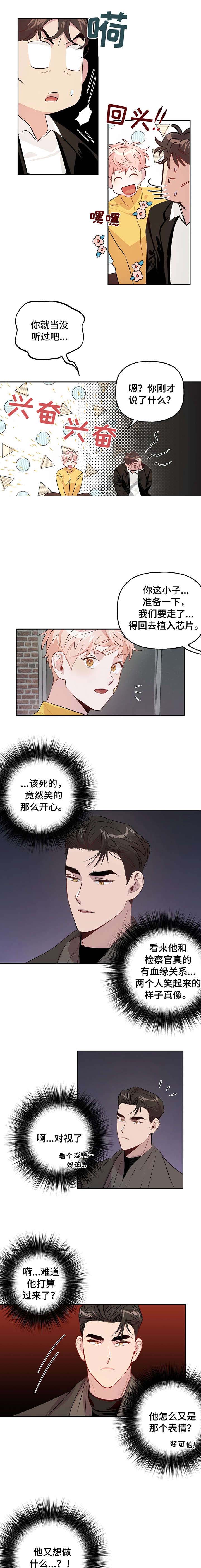 疯子与刽子手知乎漫画,第28话5图