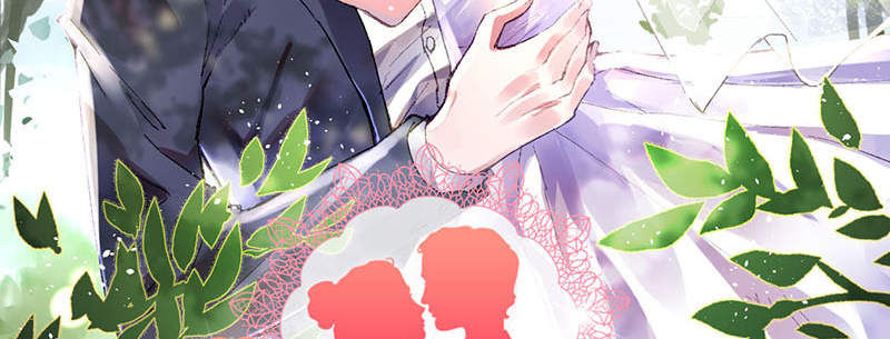 宠婚来袭漫画,第3章：我们离婚吧3图