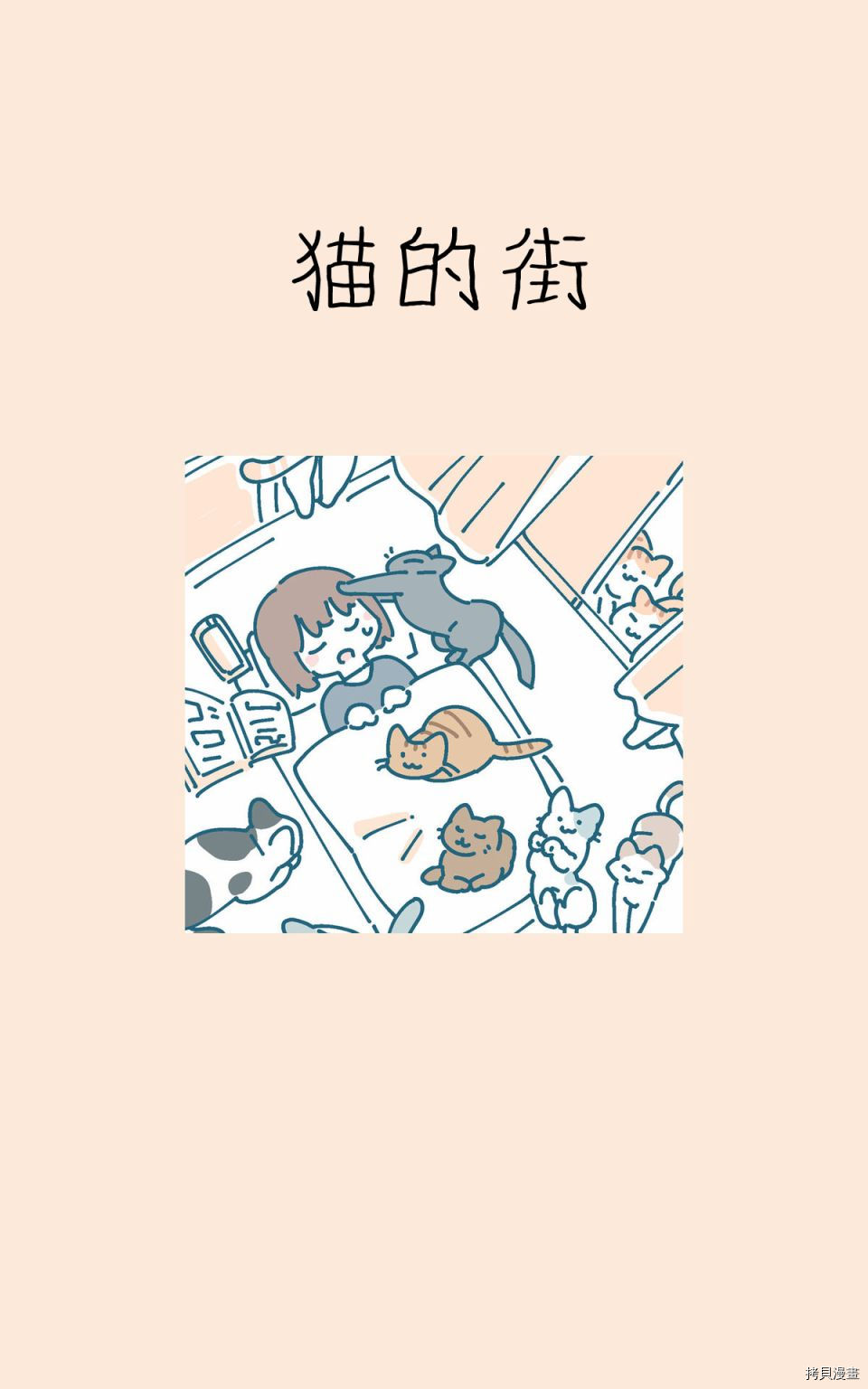 猫的街0