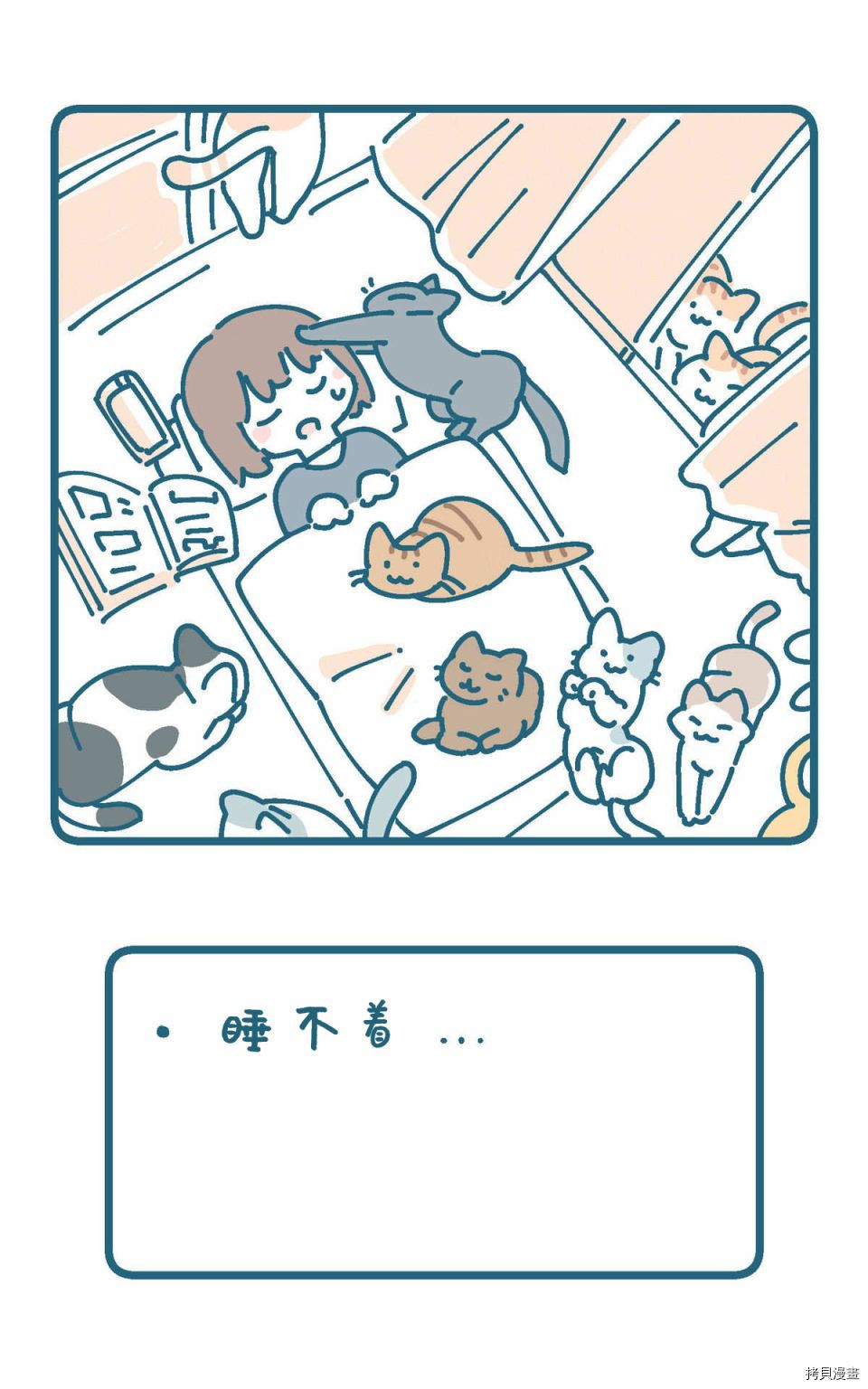 猫的街1