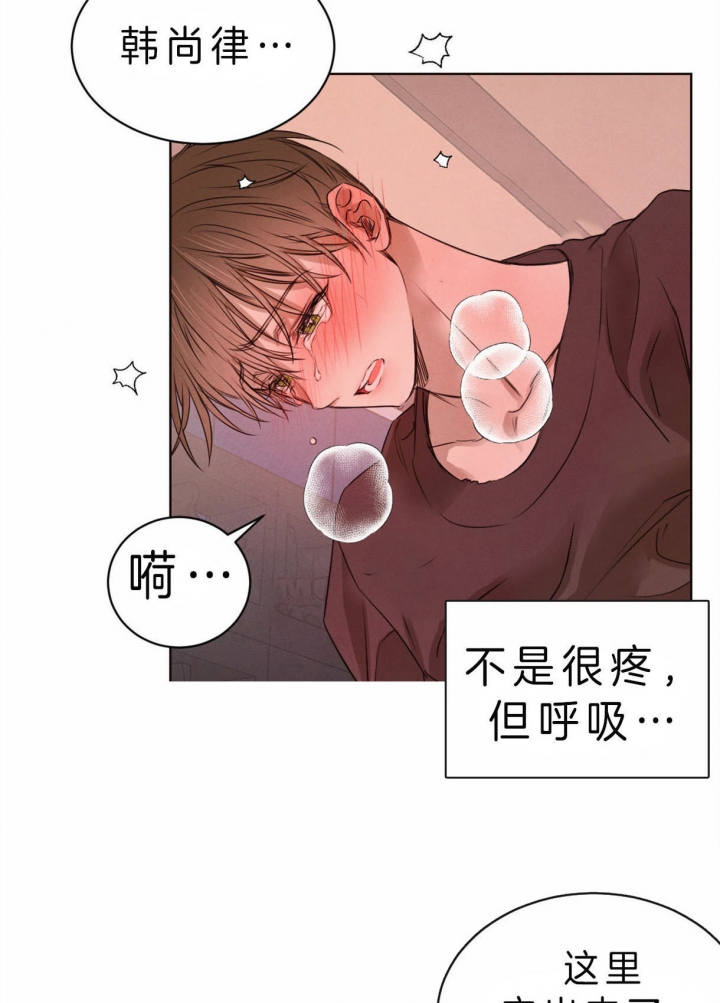 柳树芽的功效与作用漫画,第56话2图