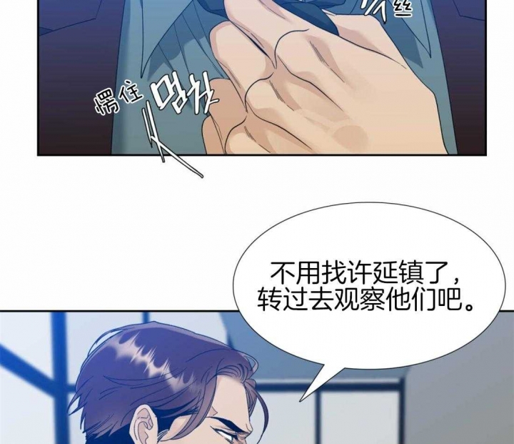 疯狗失控咬死咬伤百余只鸡漫画,第112话4图