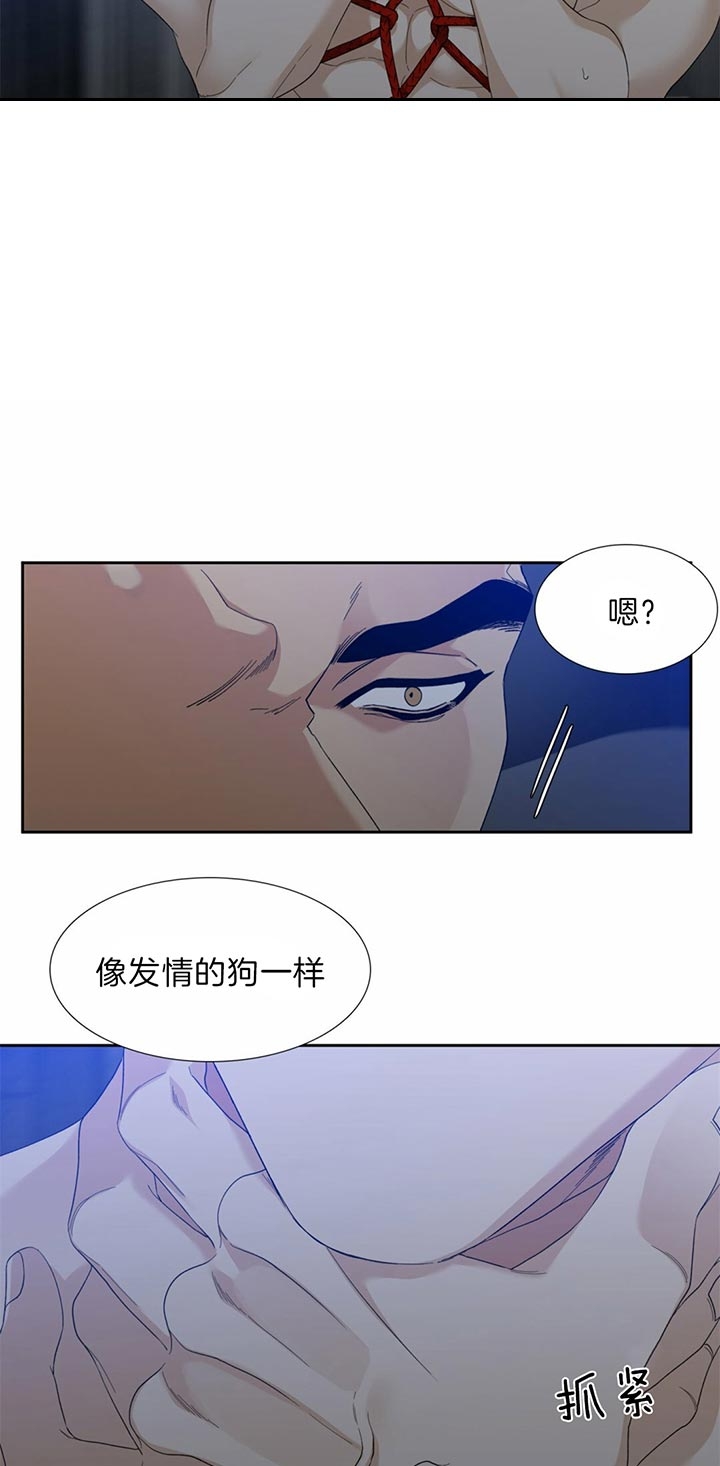 疯狗咬人发疯的视频漫画,第73话4图