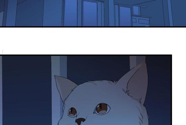 枕上恶魔总裁与狼共舞漫画,第20话2图
