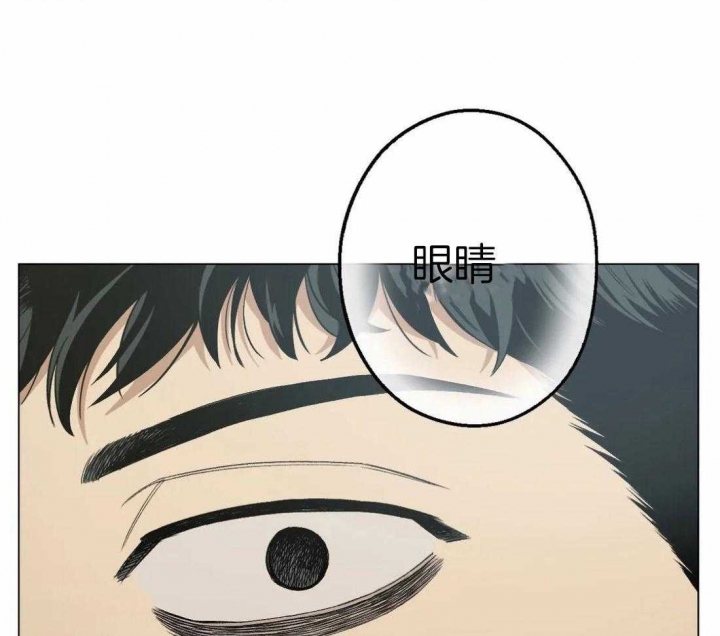 坠入爱河的杀手漫画,第31话5图