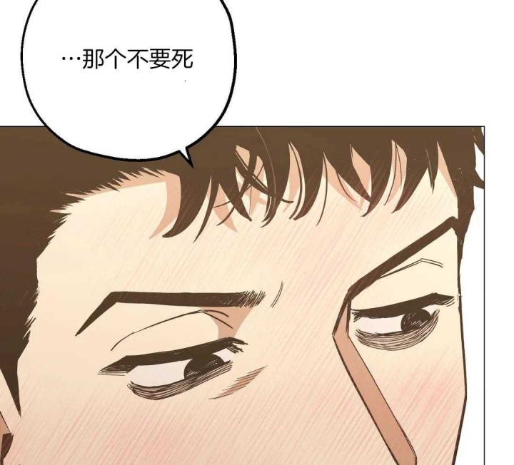 当杀手坠入爱河官网漫画,第59话4图