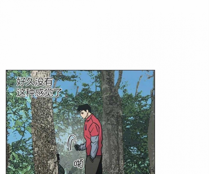 当杀手坠入爱河官网漫画,第35话3图