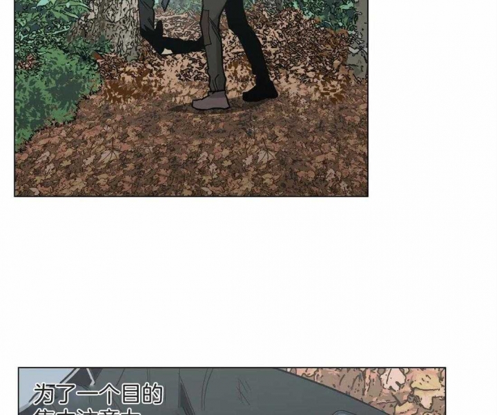 当杀手坠入爱河官网漫画,第35话4图