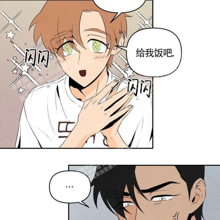 祝你好运粤语下载漫画,第11话3图