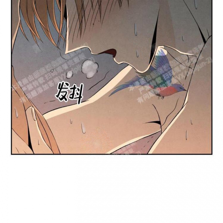 祝你好运动画电影免费在线观看漫画,第33话2图