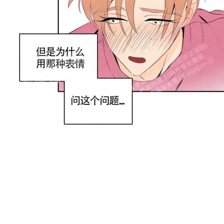 祝你好运免费观看完整版电视剧,大牛影库吧漫画,第23话5图