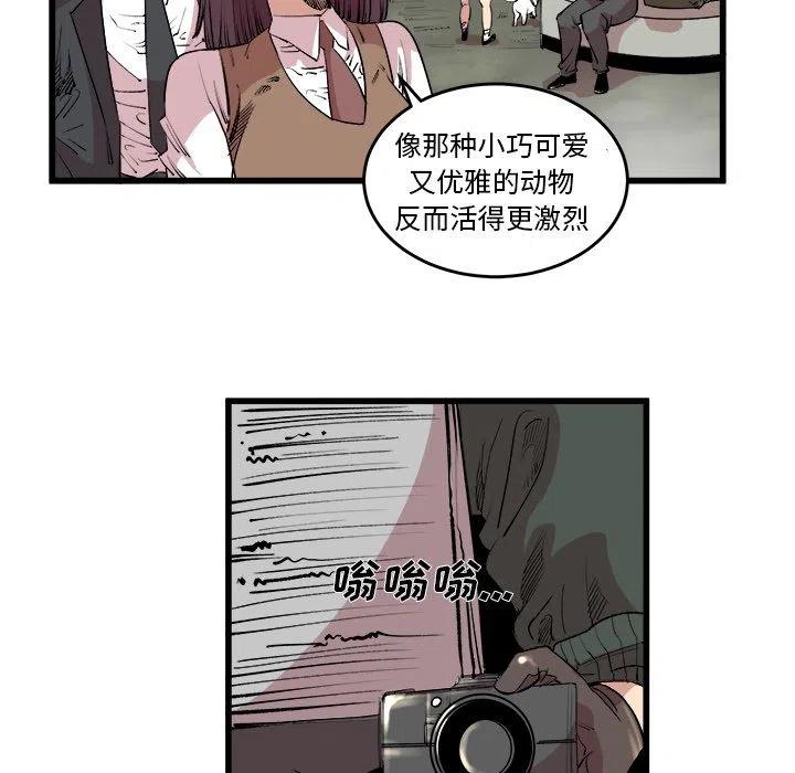 坏朋友电视剧免费观看全集最新漫画,152图
