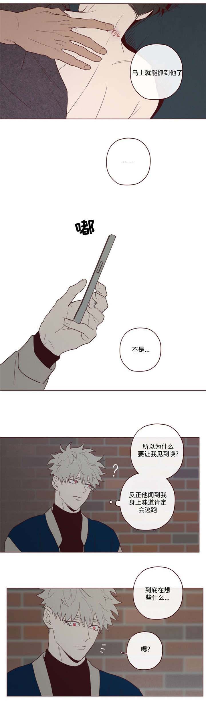 鬼怪新娘韩剧在线观看漫画,第30话1图