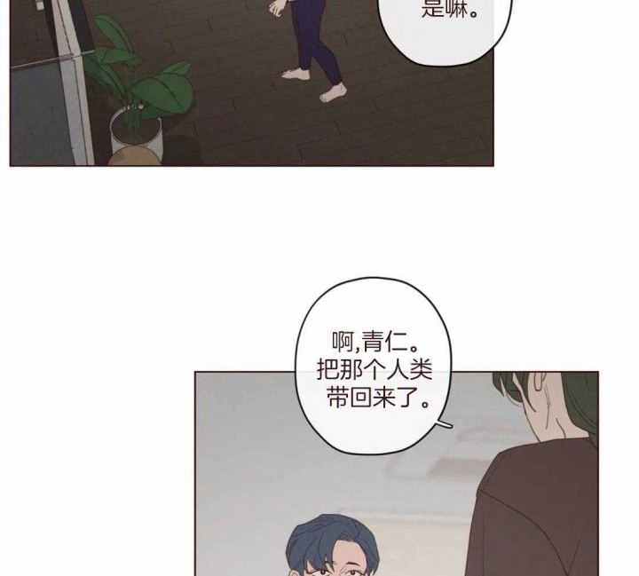 鬼怪新娘韩剧在线观看漫画,第120话4图