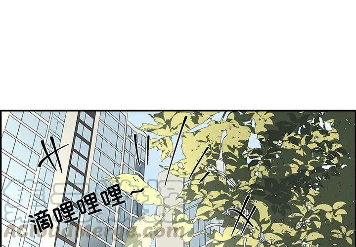 恋爱新手漫画,294图