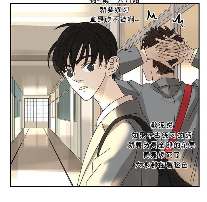 恋爱新手漫画,241图