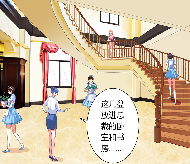 致命宠妻总裁纳命来漫画免费阅读漫画,第85章：你很像我爱的人2图