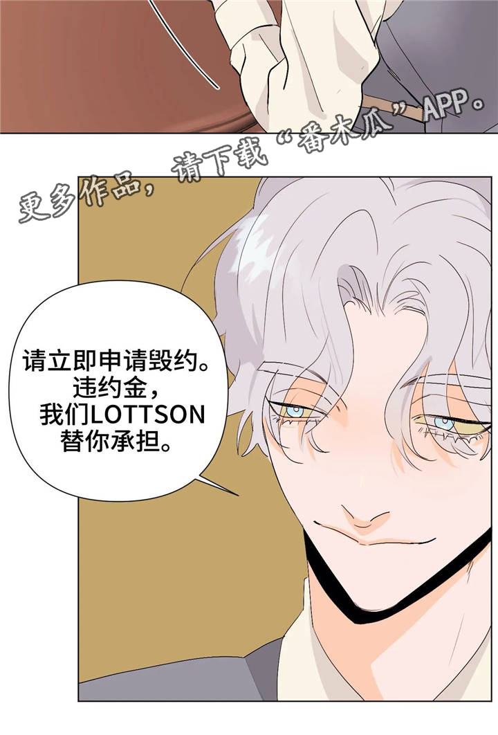 第19章：承担3
