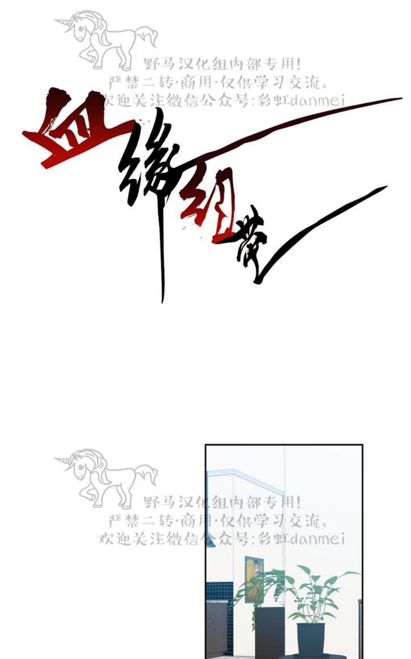 血缘纽带txt漫画,第74话1图
