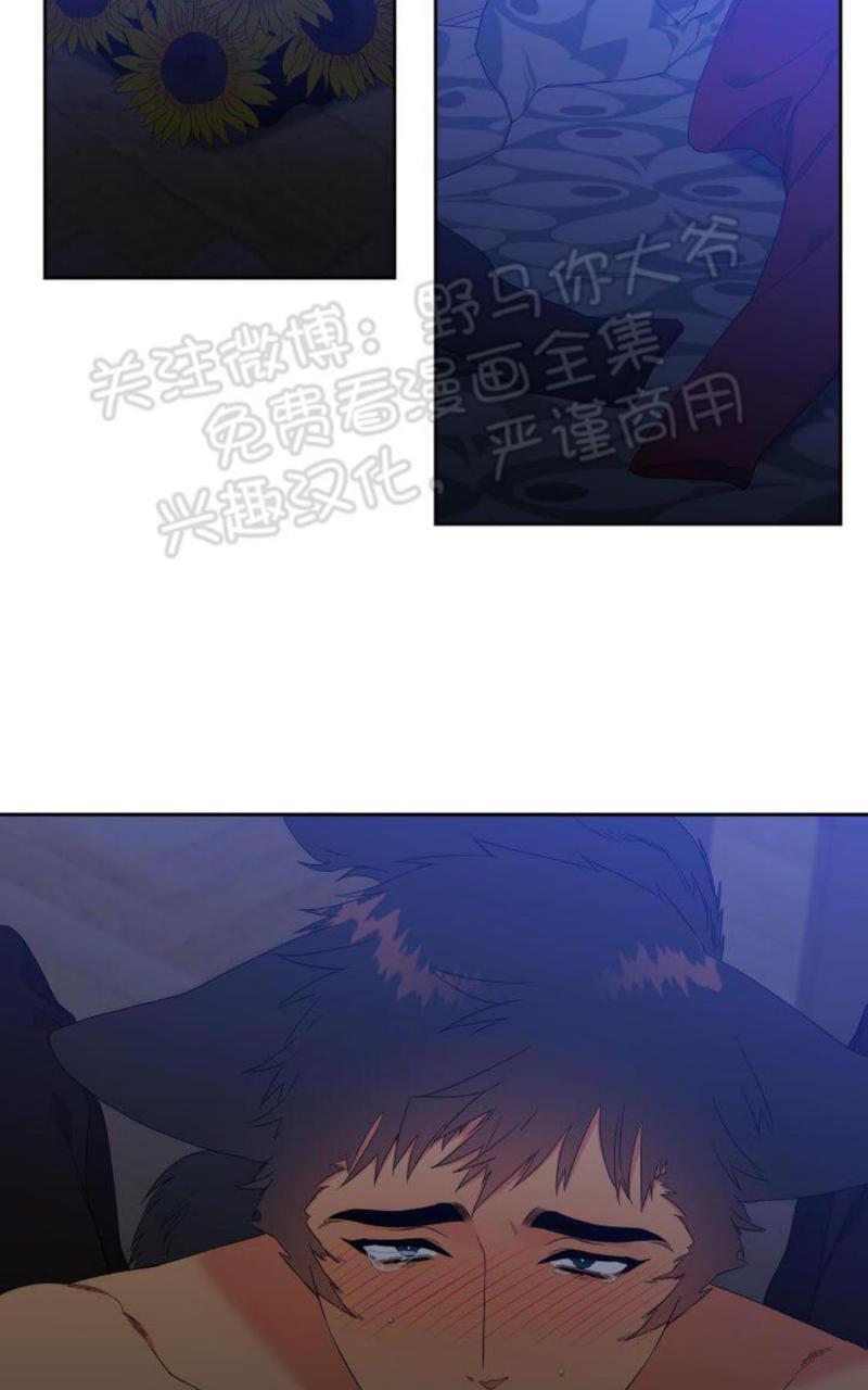 血缘纽带漫画全集免费下拉式漫画,第90话2图
