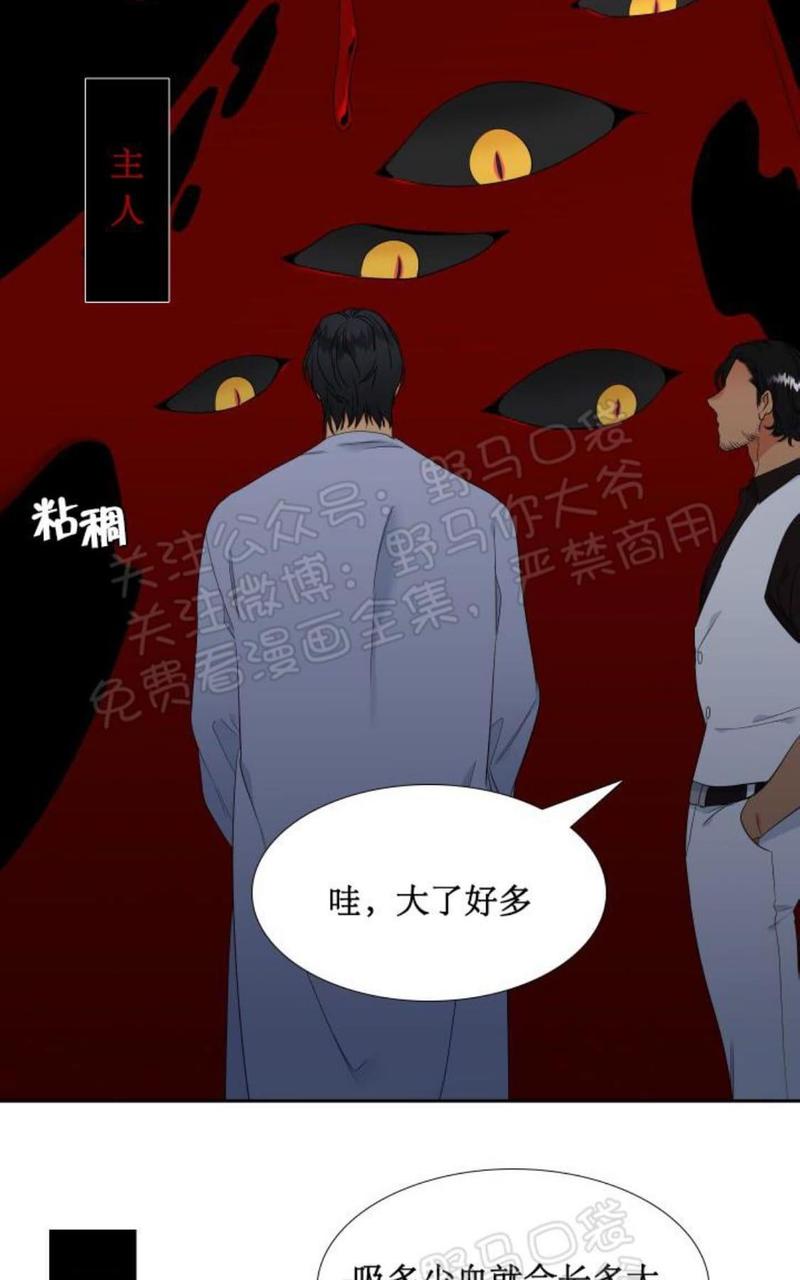血缘纽带第二季漫画漫画,第91话4图