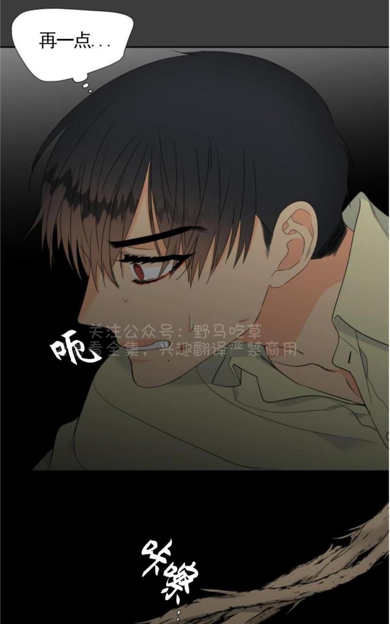 血缘纽带漫画免费版漫画,第83话3图