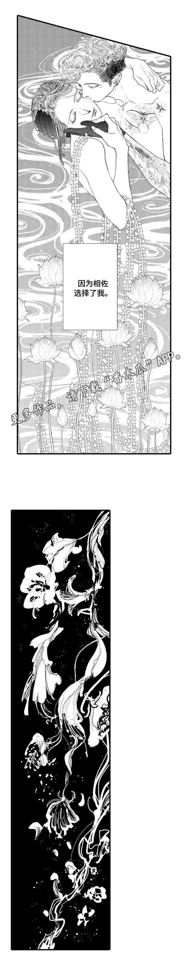 第20章：选择4