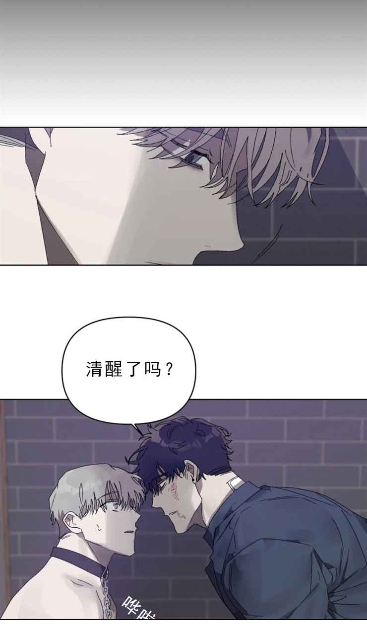恩将仇报电视剧第17集漫画,第10话5图