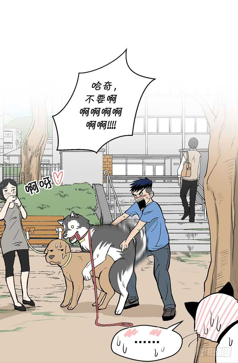 她们想当皇妃2