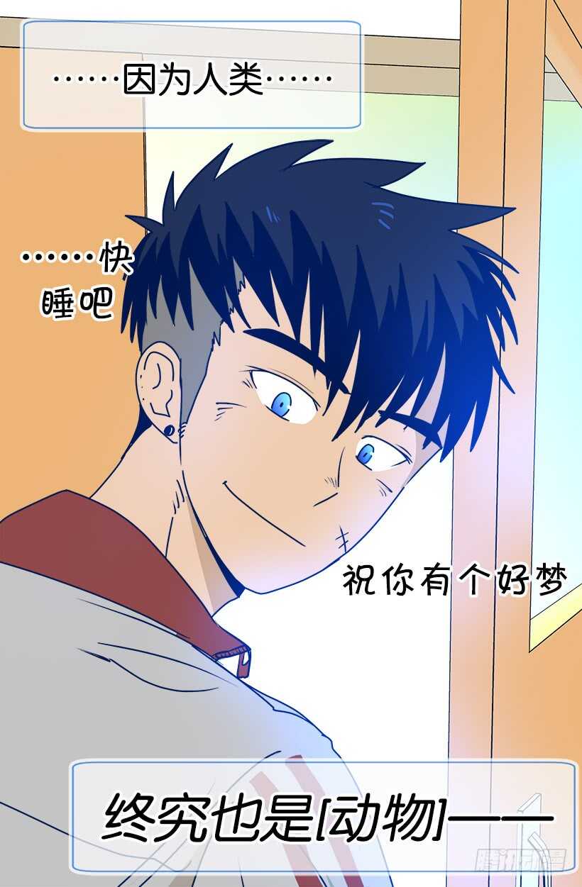 见习女骑士4