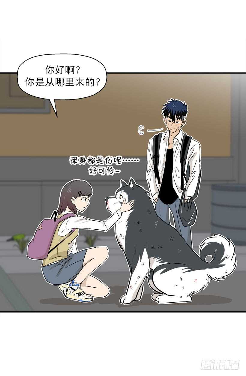 贵重的礼物3