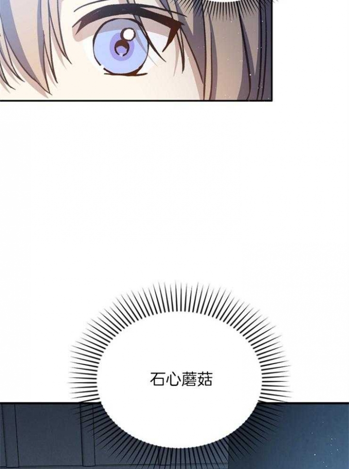 满级法师重回新手村漫画解说漫画,第46话3图