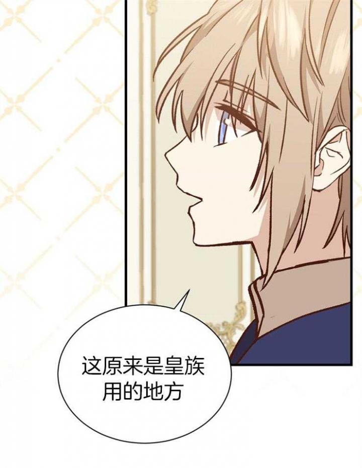满级法师重回新手村漫画解说漫画,第42话5图