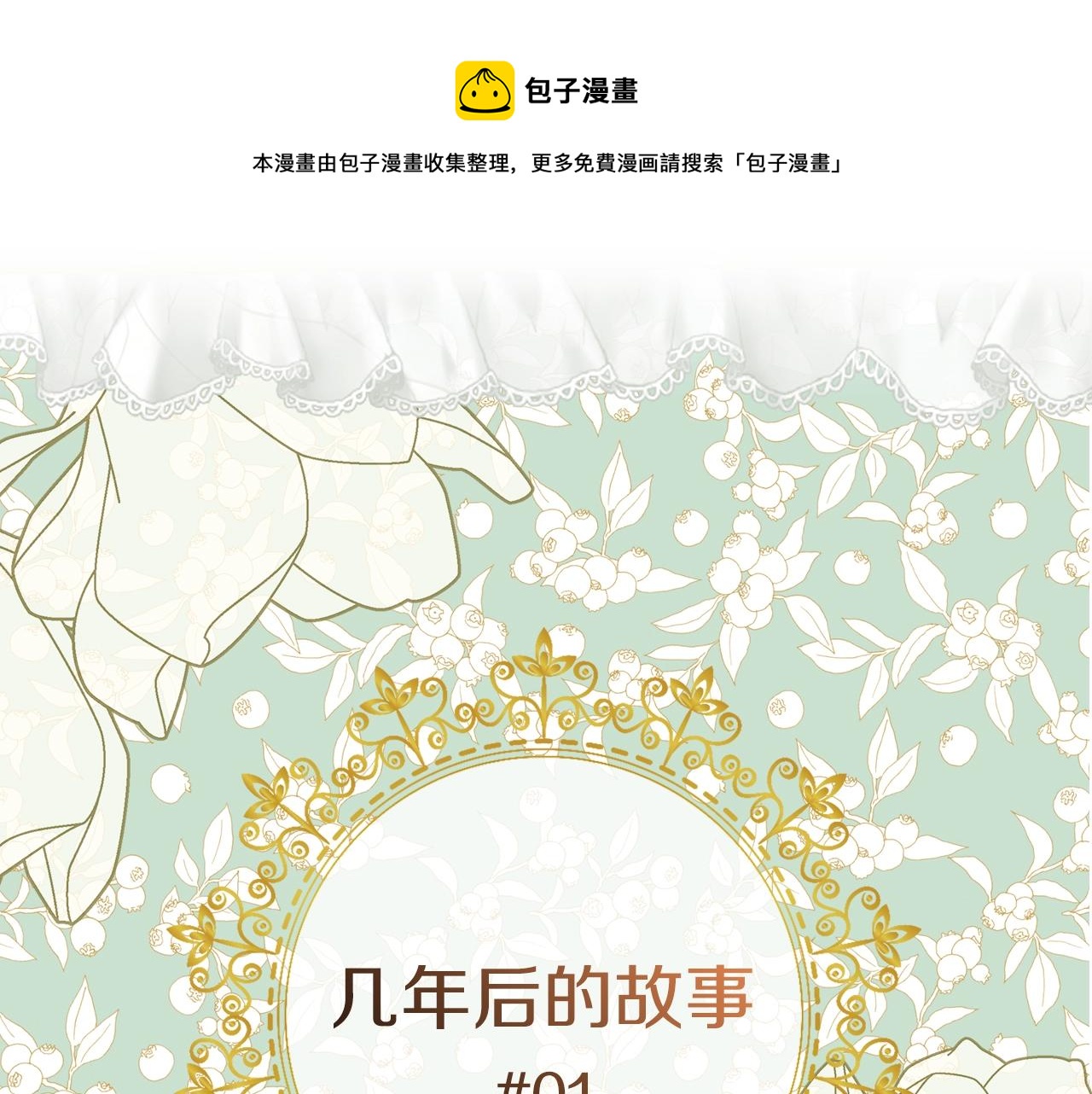 《不要小看女配角》图片漫画,番外28 几年后的故事15图