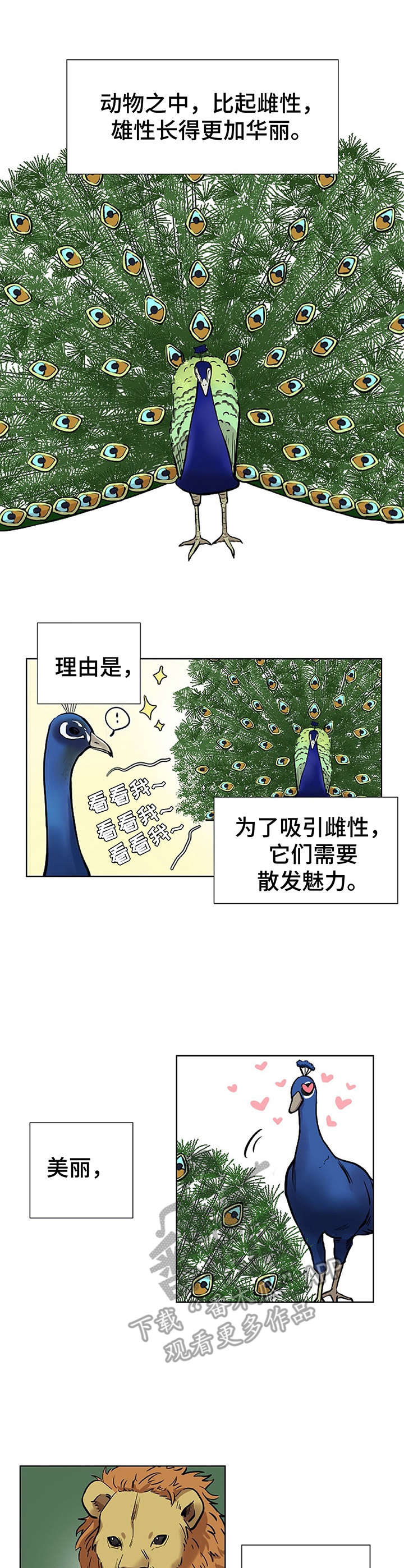 替身为凰大结局漫画,第21章：华丽1图