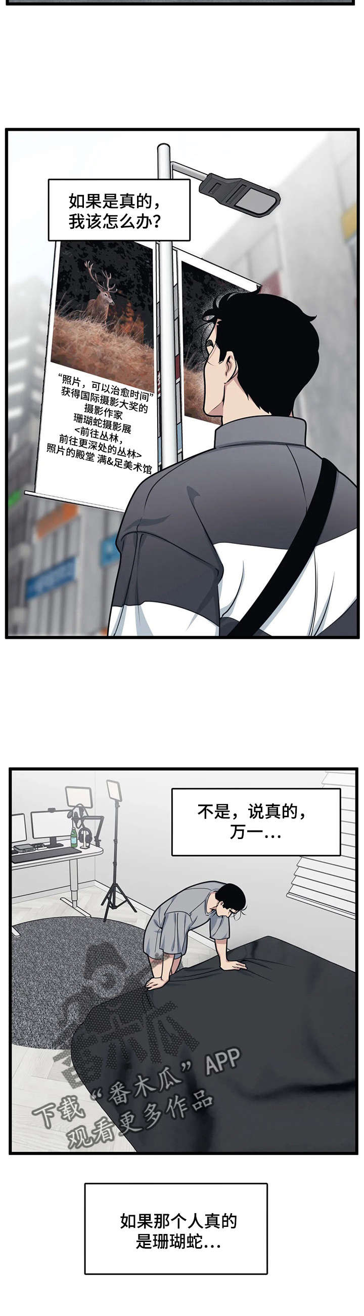 第12章：摄影展1