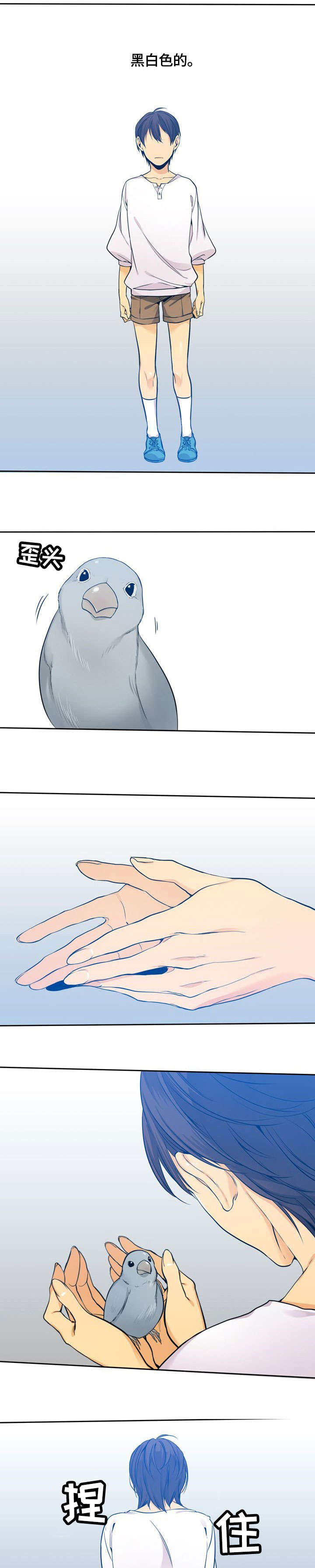 第1章：黑白1