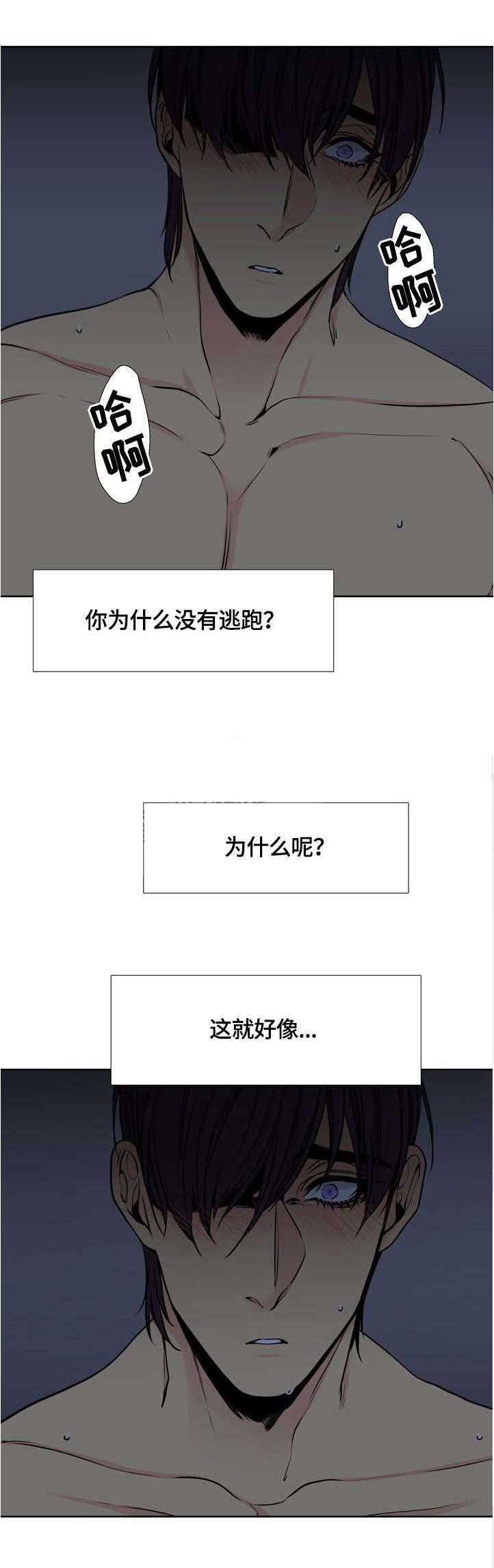 第31章：加油1