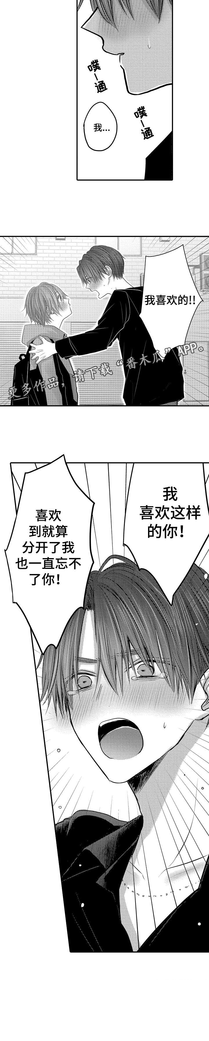人身危机番木瓜漫画免费完整漫画,第24章：吻4图