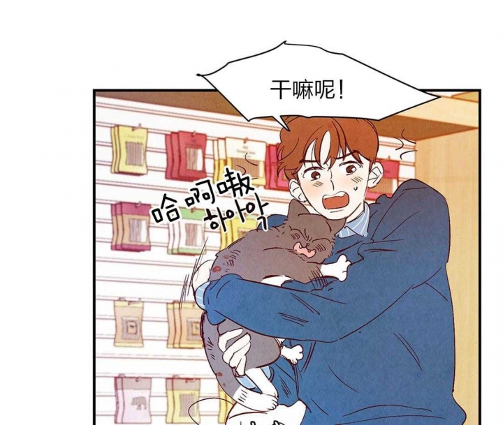 第50话0