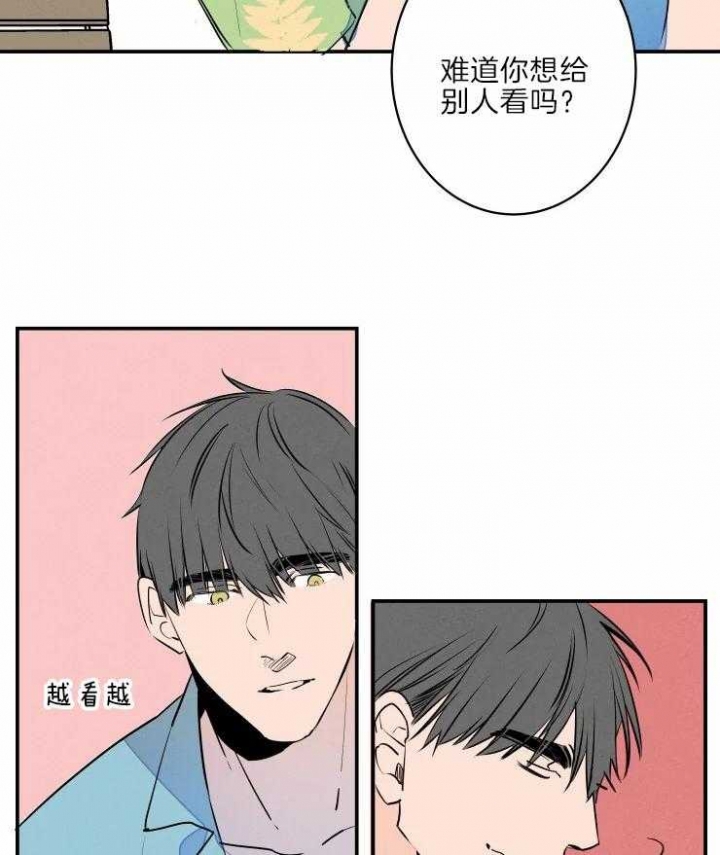 结婚可以办理住房公积金贷款吗漫画,第40话5图