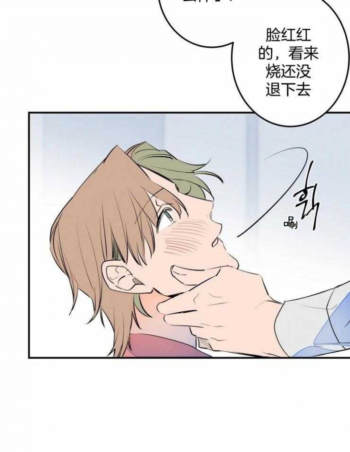 结婚可以办理住房公积金贷款吗漫画,第58话4图