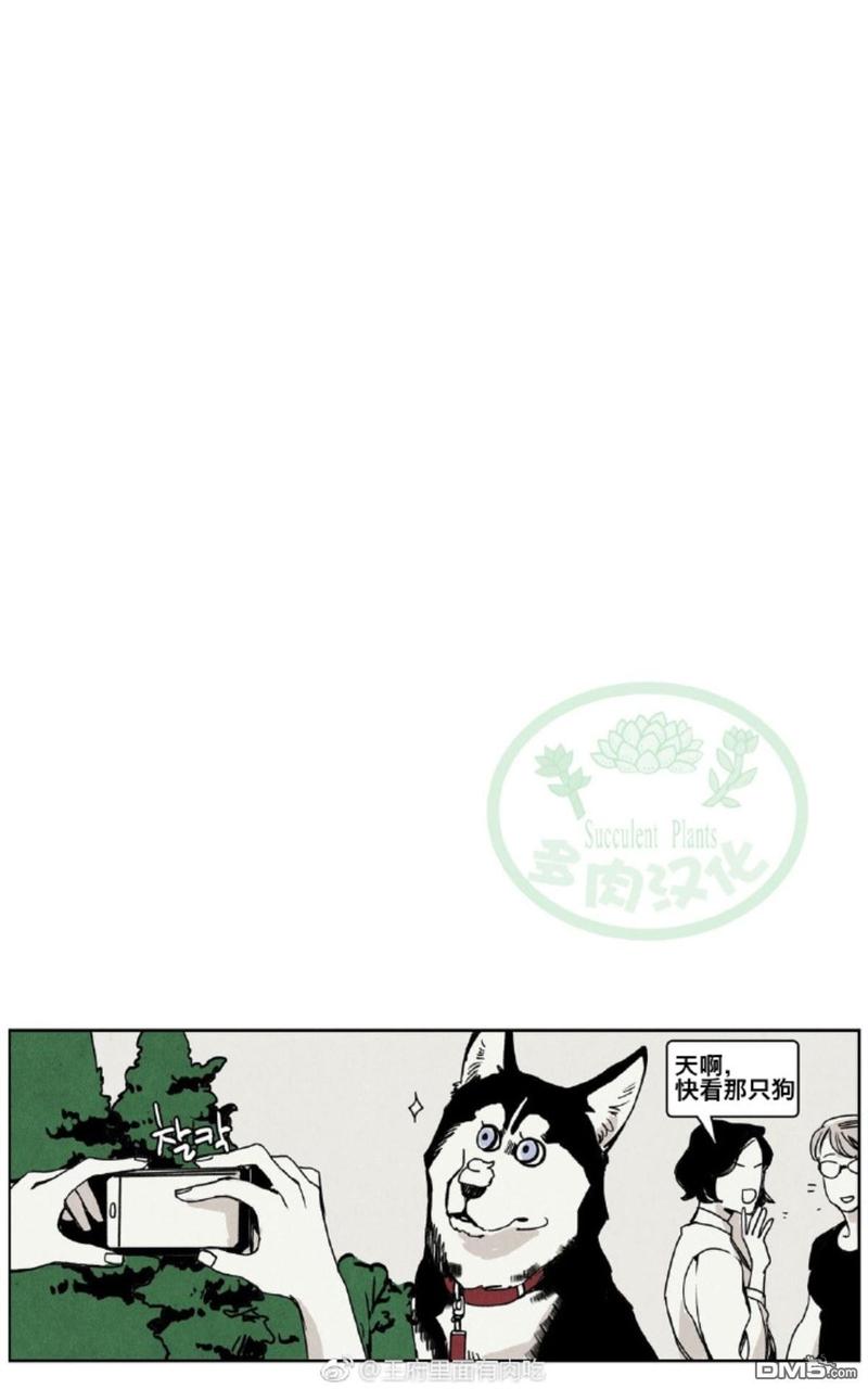 第9话4