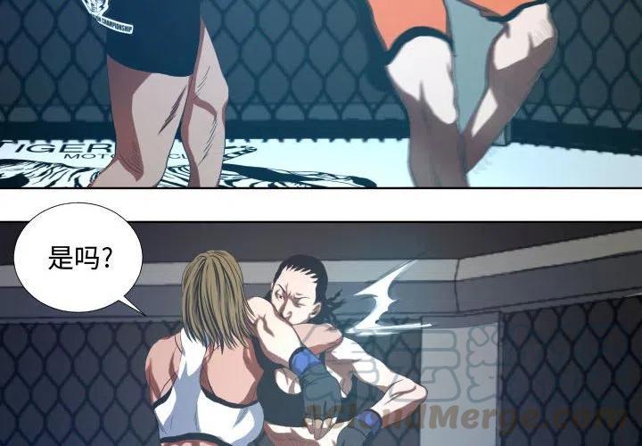 虚拟格斗类小说漫画,174图